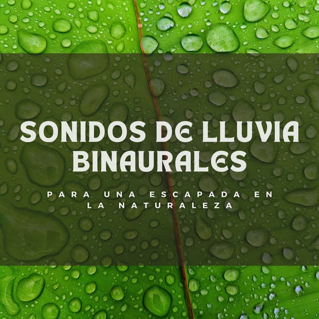 Sonidos De Lluvia Binaurales Para Una Escapada En La Naturaleza - Lloviendo Relajante
