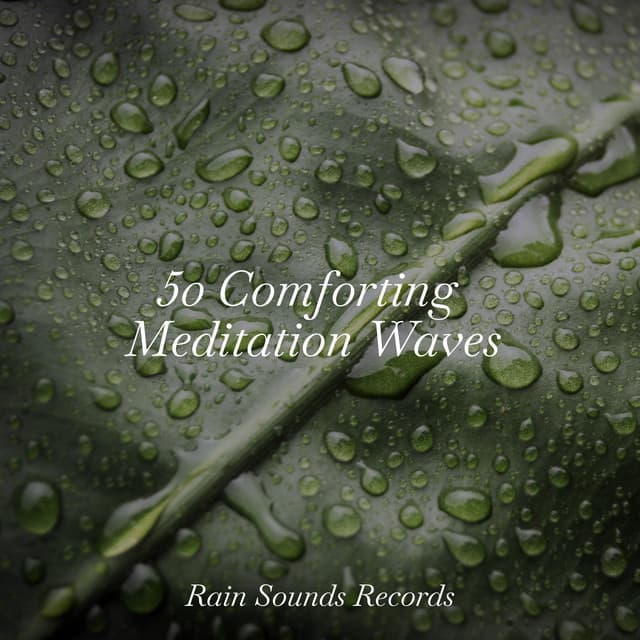 50 Comforting Meditation Waves - Bird Sounds