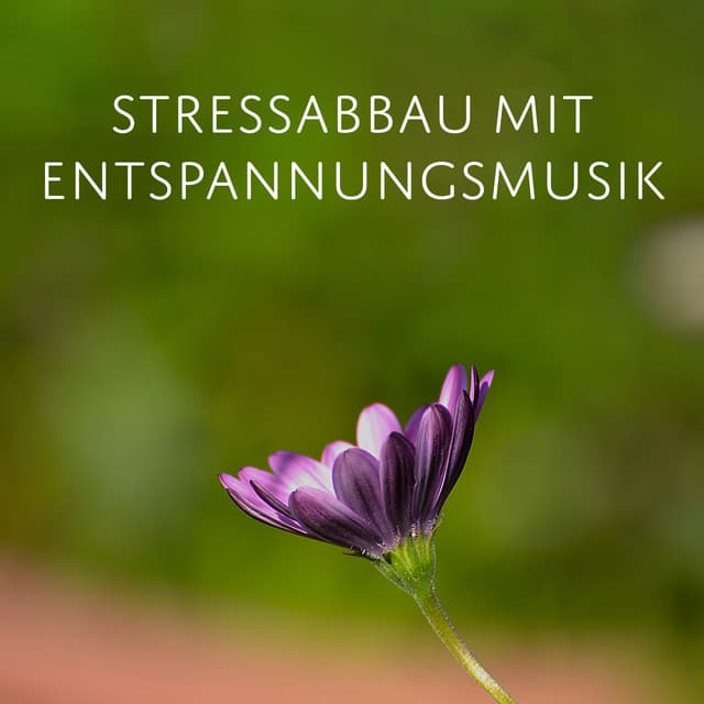 Stressabbau mit Entspannungsmusik - Tiefenentspannung Academy
