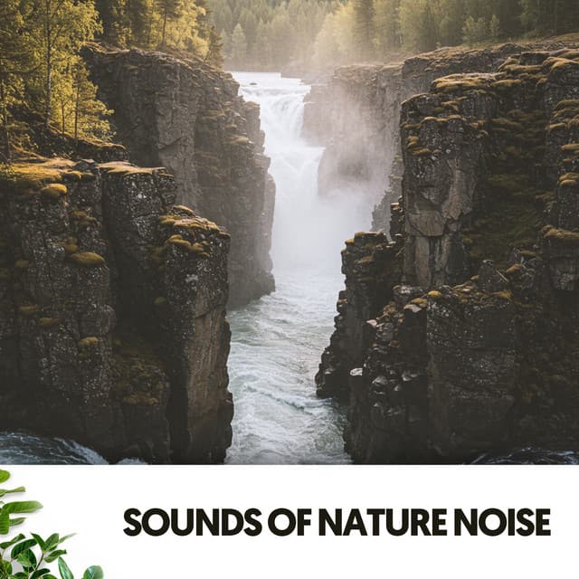 Sounds of Nature Noise: Serene Slumber Symphony - The Nature Soundscapes