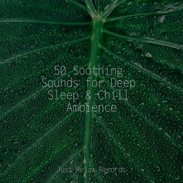 50 Soothing Sounds for Deep Sleep & Chill Ambience - Massage Therapy Music