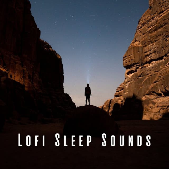 Lofi Sleep Sounds: Calming Rhythms for Nighttime Rest - Lo-Fi for Sleeping