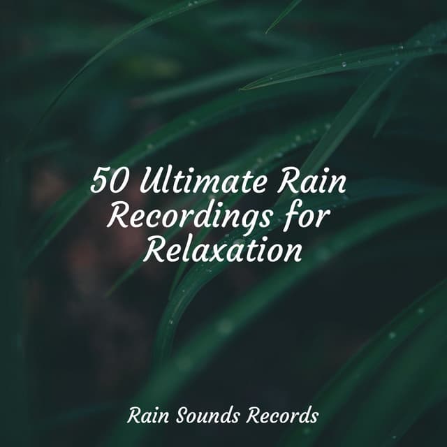 50 Ultimate Rain Recordings for Relaxation - Musica para Bebes