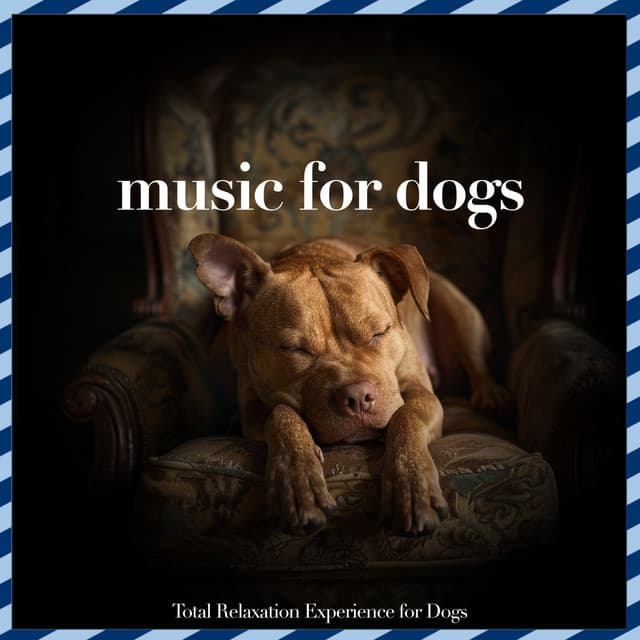 Music For Dogs: Total Relaxation Experience for Dogs - Relaxmydog