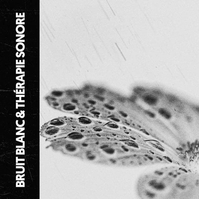 Bruit Blanc & Sonothérapie: La Nature EST Bruit - Dog Relaxation