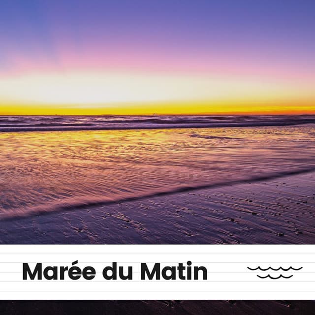 Marée du Matin - Oasis de sommeil