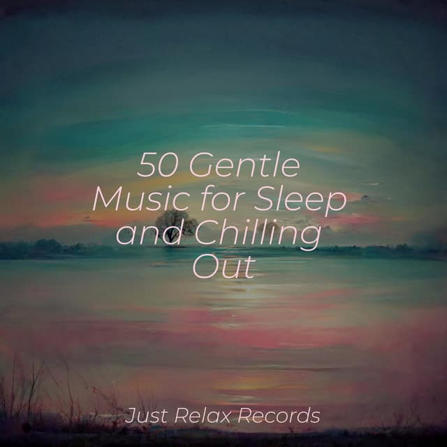 50 Gentle Music for Sleep and Chilling Out - Dog Music