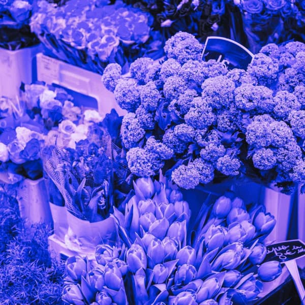 Lively Backdrop for Studying Legends - Música Moderna para Cafeterías