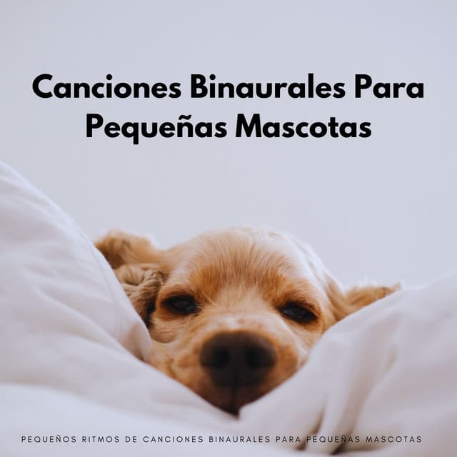Pequeños Ritmos De Canciones Binaurales Para Pequeñas Mascotas - Colectivo Binaural