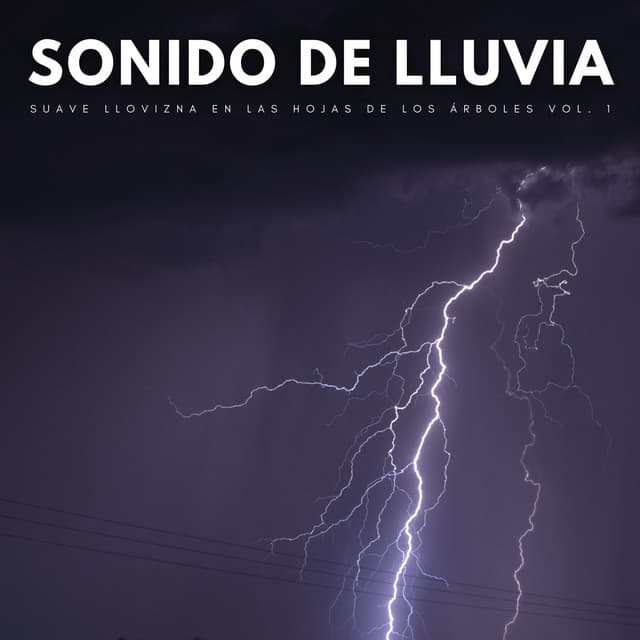 Sonido De Lluvia: Suave Llovizna En Las Hojas De Los Árboles Vol. 1 - Relajantes sonidos de lluvia