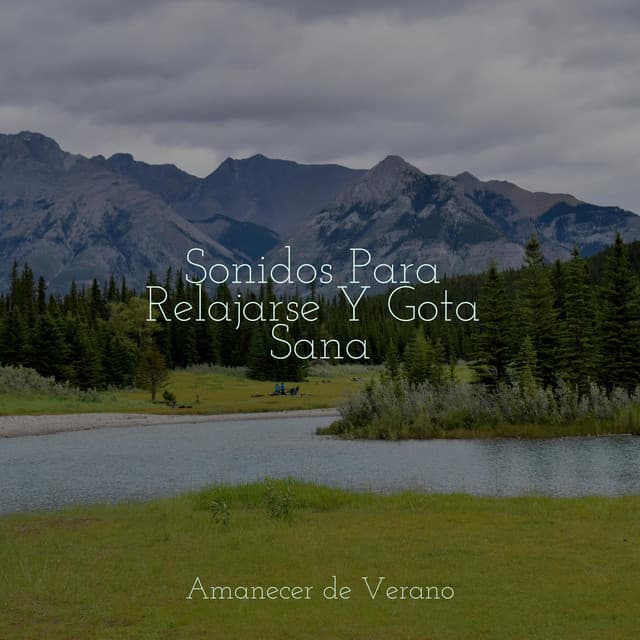 Sonidos Para Relajarse Y Gota Sana - Sonidos de la Naturaleza Relax