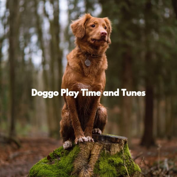 Doggo Play Time and Tunes - Music for Pets Playlist
