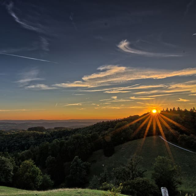 Sunrise Serenade: Nature's Awakening Melodic Dance - Plant Frequencies Collective