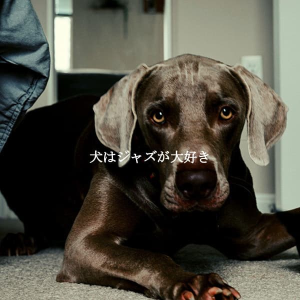 犬はジャズが大好き - Dining Music