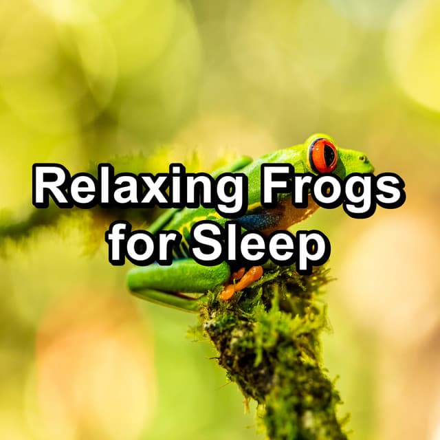 Relaxing Frogs for Sleep - Nature Sounds Artists
