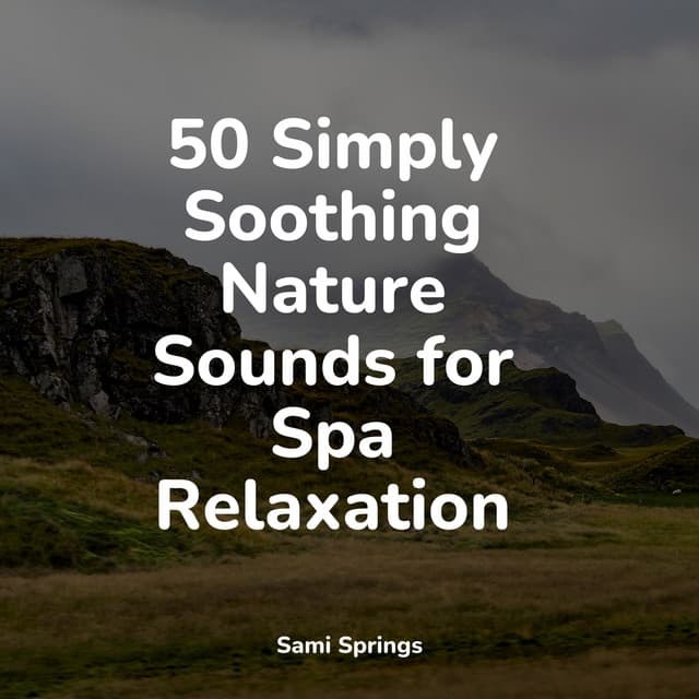 50 Simply Soothing Nature Sounds for Spa Relaxation - Rain Recorders