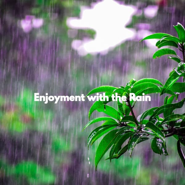 Enjoyment with the Rain - Bossa Nova Project