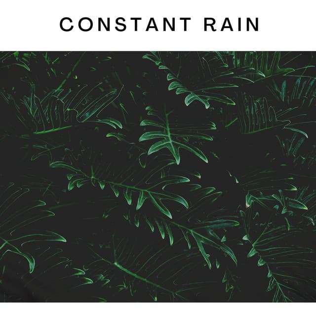 Constant Rain - Forest Sounds