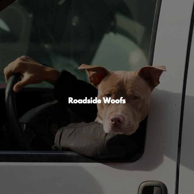 Roadside Woofs - Happy Jazz
