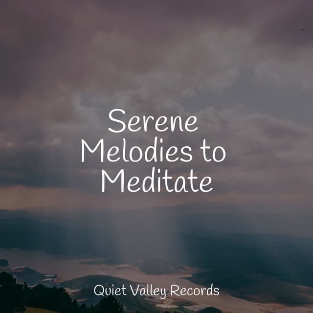 Serene Melodies to Meditate - Nature Sounds Artists