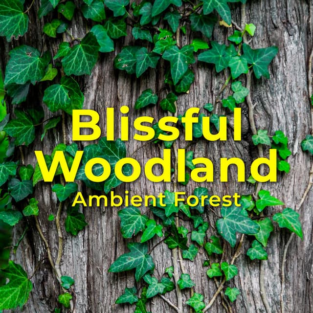 Blissful Woodland - Ambient Forest