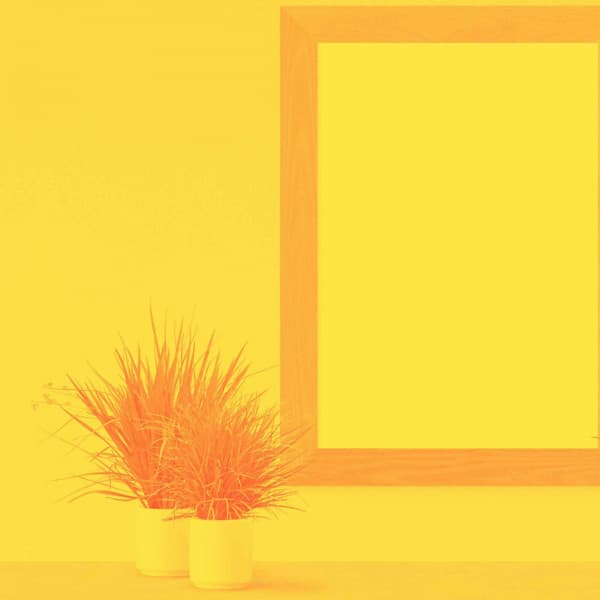 Backdrop for Chill Monday Moments - Bossa Guitar Trio with Jazz Organ - Alegre Musica de Piano