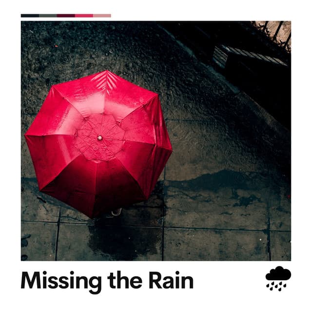 Missing the Rain - Rainforest Sounds