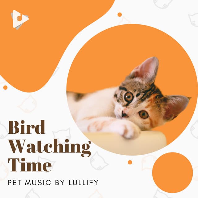 Bird Watching Time - Pet Music by Lullify