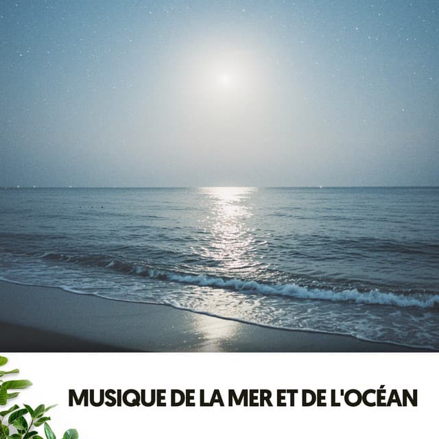 Musique de la Mer et de l'Océan: Mélodies de l'Horizon - Relajacion