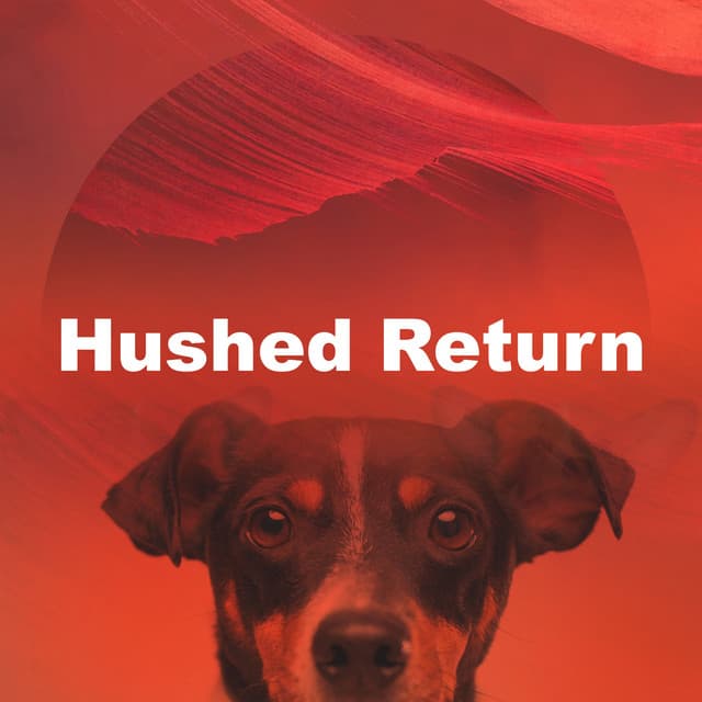Hushed Return - Relaxing Pet Music