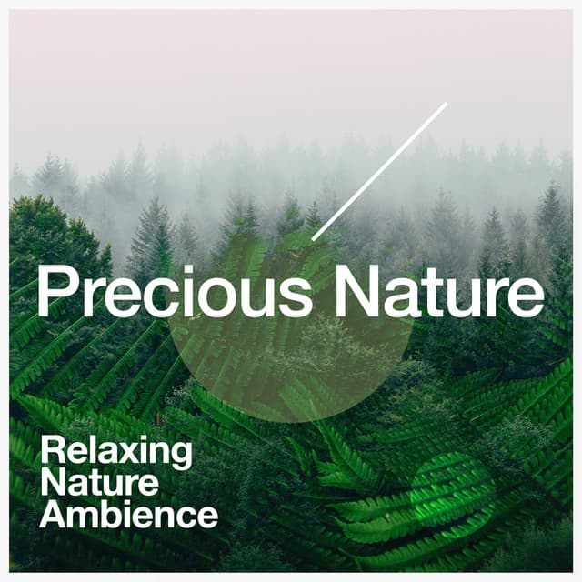 Precious Nature - Relaxing Nature Ambience