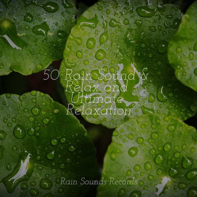 50 Rain Sound & Relax and Ultimate Relaxation - Canciones De Cuna