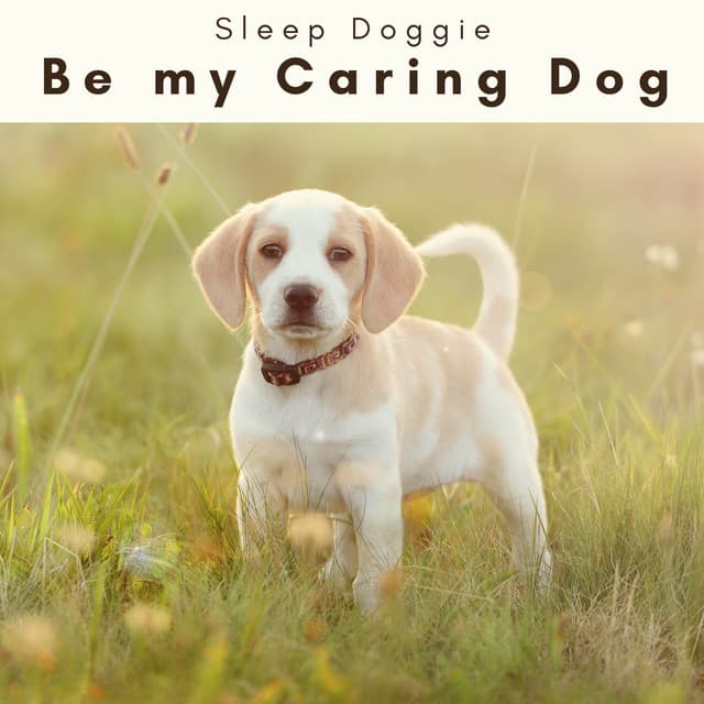 2 0 2 3 Be my Caring Dog - Sleep Doggie