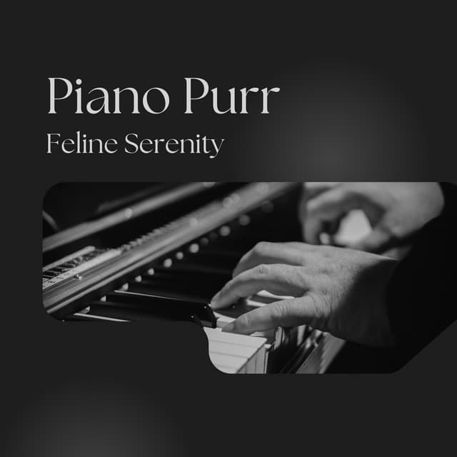 Piano Purr: Feline Serenity - Piano Project