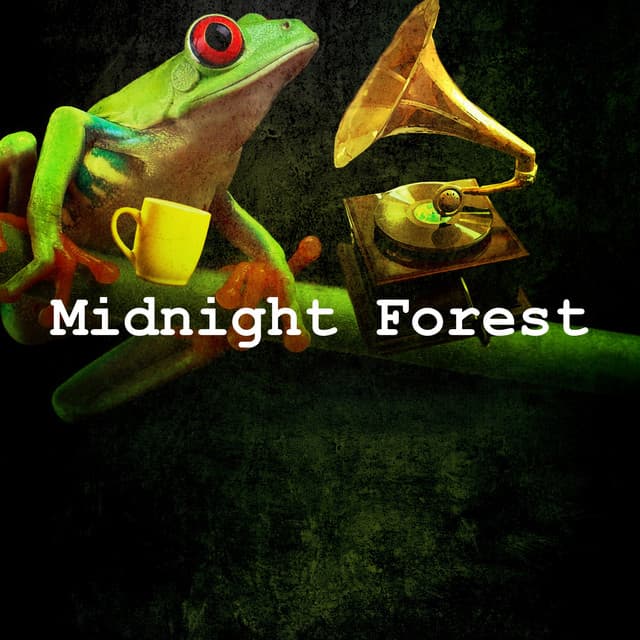 Midnight Forest - Sounds of the Jungle