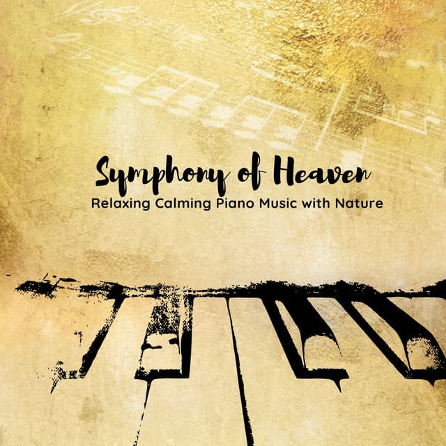 Symphony of Heaven: Relaxing Calming Piano Music with Nature - Healing Meditation Zone