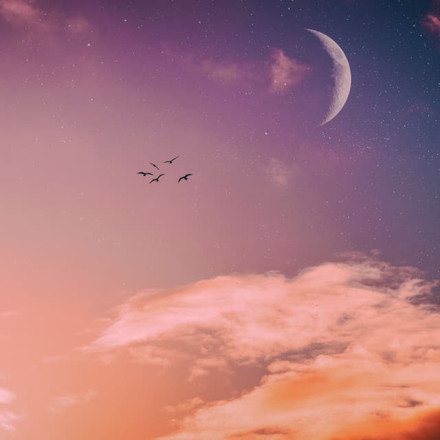 50 Melodic Stories: Ultimate Playlist For Sleep - White Noise for Babies