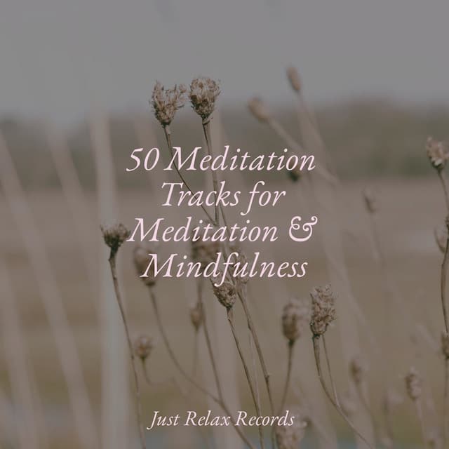 50 Meditation Tracks for Meditation & Mindfulness - Musica de Relajación Academy