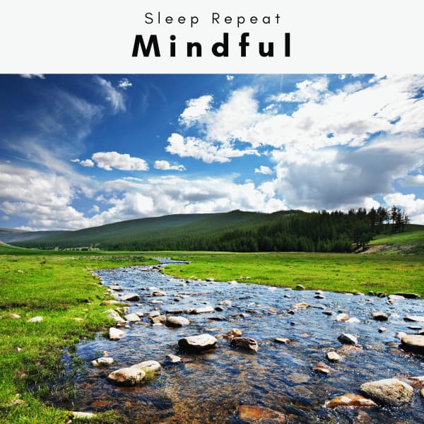 2022 Mindful - Sleep Repeat