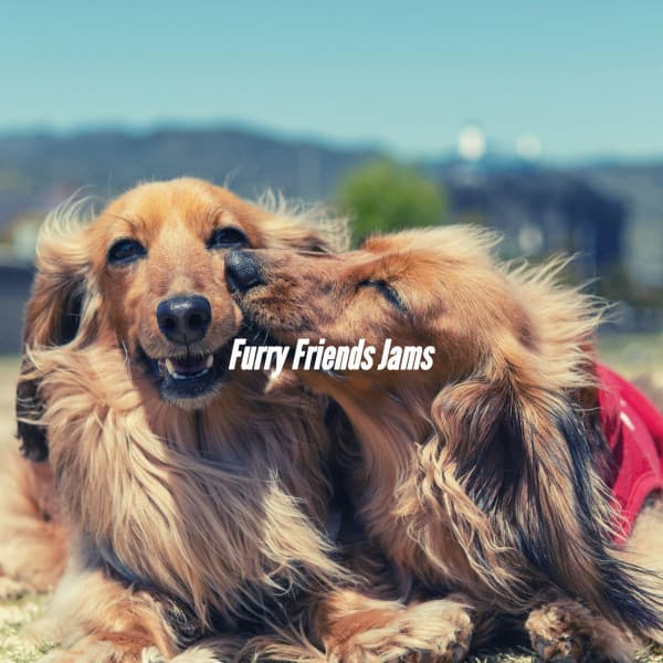 Music for Dogs Radio