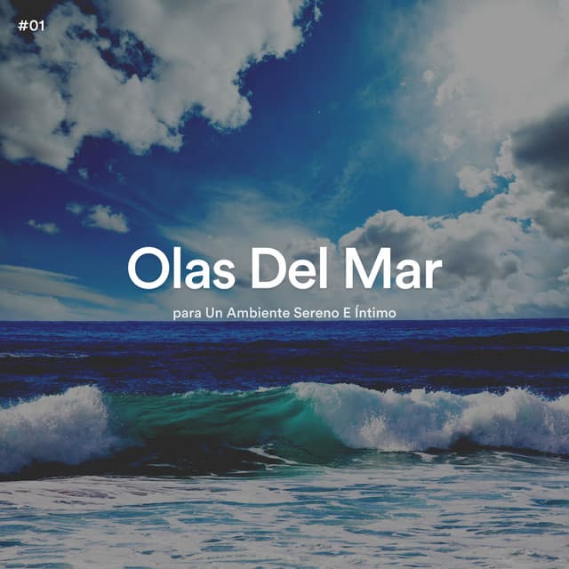 #01 Olas Del Mar para Un Ambiente Sereno E Íntimo - Olas del Mar