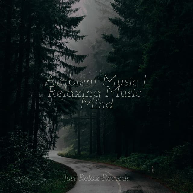 Ambient Music | Relaxing Music Mind - Thunderstorm Sound Bank