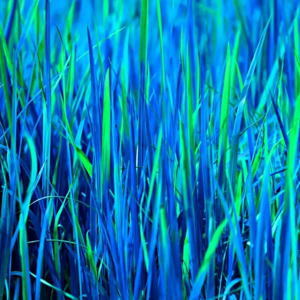 Music for Bathing - Motivational Words - Spa Music Hour