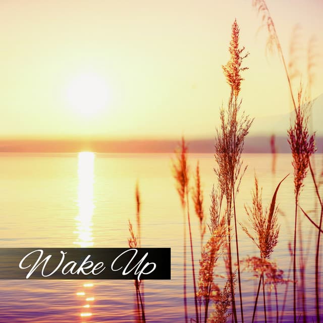 Wake Up - Tina Amalier