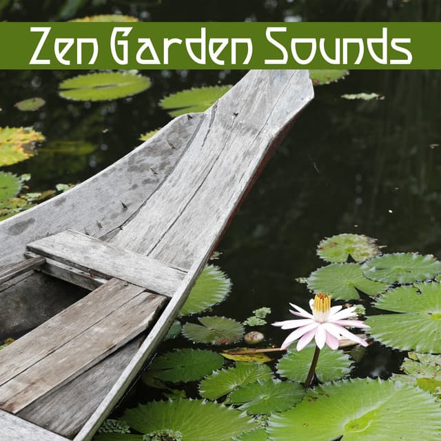 Zen Garden Sounds – Easy Listening, Sounds to Calm Down, Peaceful Music, Waves of Calmness - Musica Para Meditacion Profunda