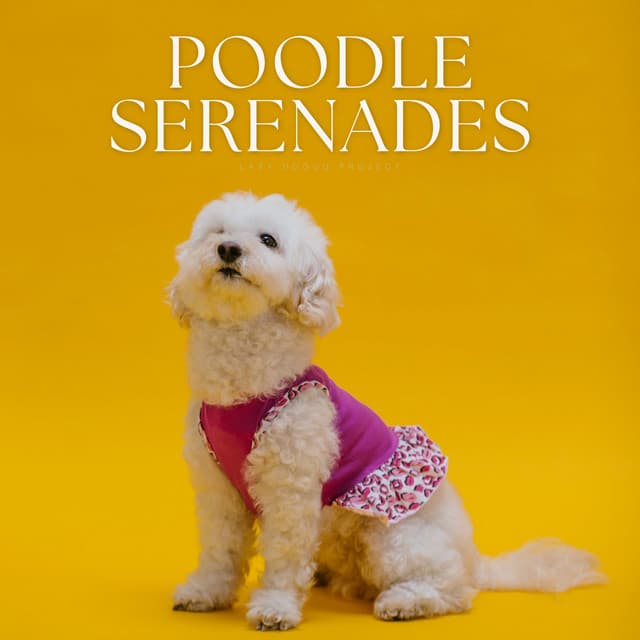 Poodle Serenades - Calming Music For Pets