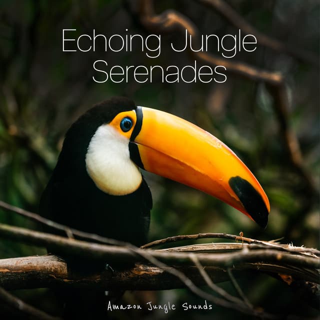 Echoing Jungle Serenades - Amazon Jungle Sounds