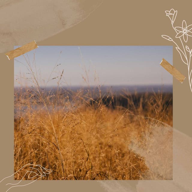 Exquisite Background Music for Daily Nature Experiences - Música para Bares