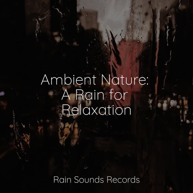 Ambient Nature: A Rain for Relaxation - Chillout Lounge