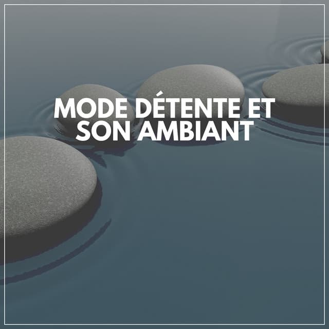 Mode Détente Et Son Ambiant - Oasis de Musique Zen Spa
